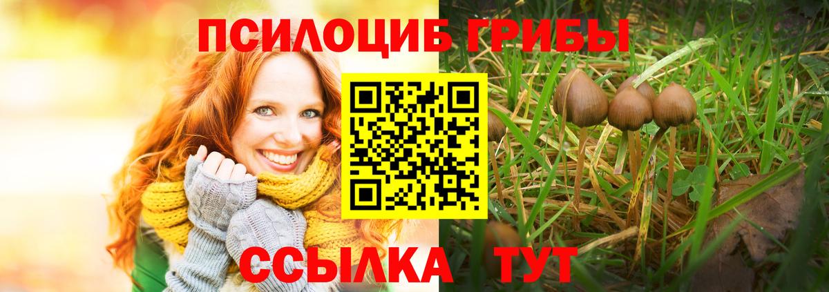 Галлюциногенные грибы GOLDEN TEACHER  Вход с VPN  Галлюциногенные грибы Psilocybine cubensis  Крымск 